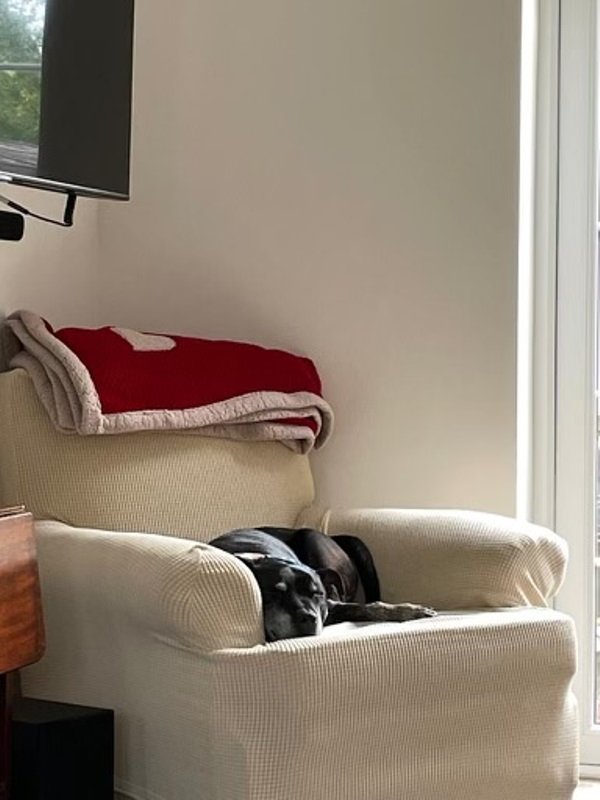 Ron happy on his chair