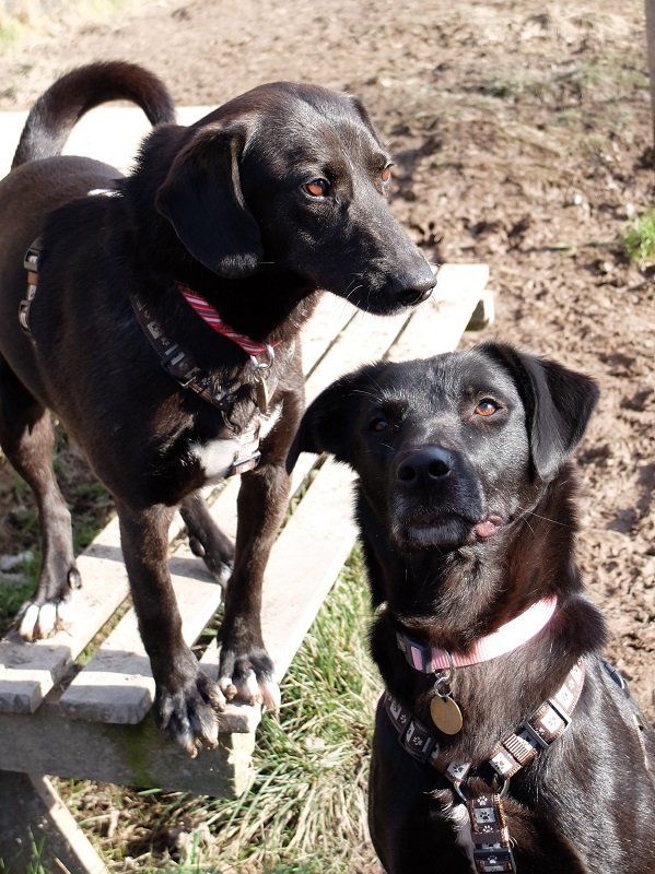 with her friend Milo
