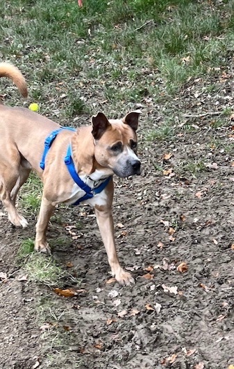 Carefully through the mud!