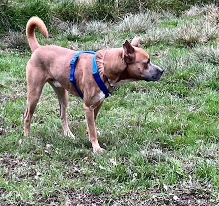 What's over there?