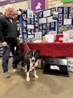 Showcasing the RR table