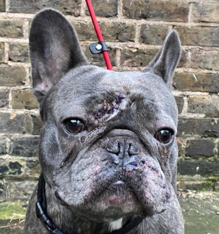 24.12.24 with stitches