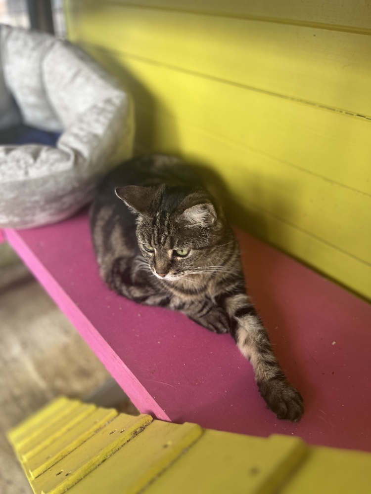 IMG_0034 2.jpeg