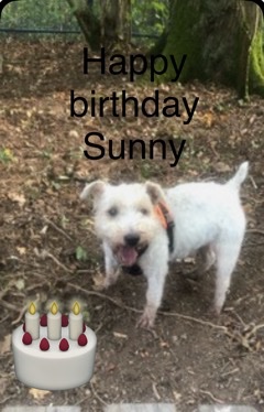 Happy birthday