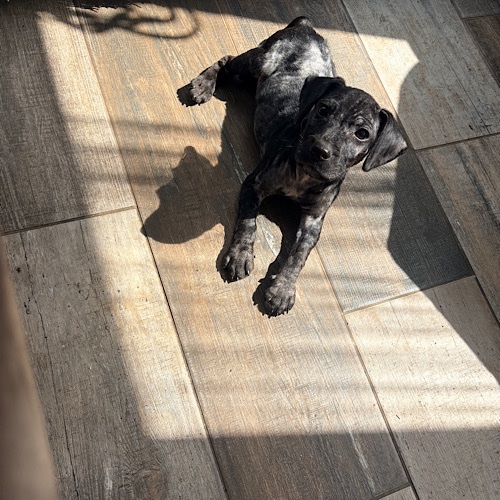 Todd found the sunny spot