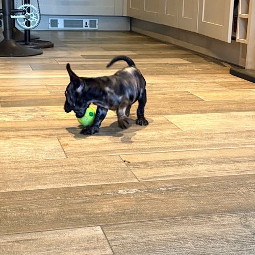 He found his ball