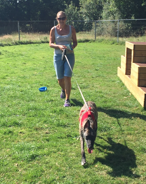 Meeting Ros as she is introduced to Gatwick Kennels