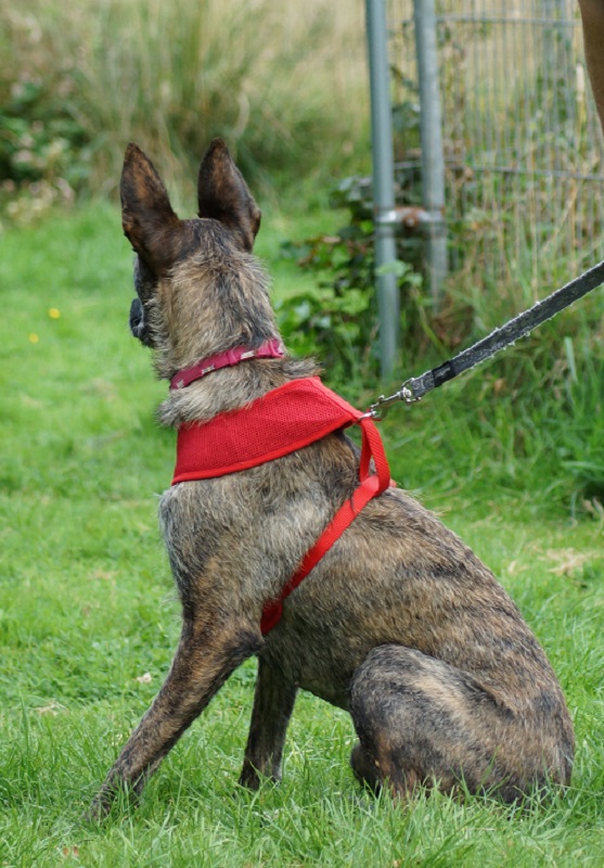 beautiful ears from the back aswell !!